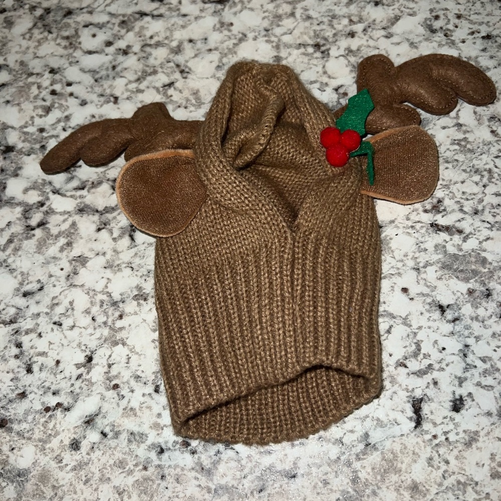 Holiday pet hat